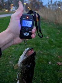 Gädda, 1225g, Morris Boije Hammarsson, 2025-11-05, Nynäshamn , fiskemetod: Spinnfiske