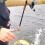 Gädda, 5300g, Thomas Lysell, 2024-10-19, Torsås, fiskemetod: Spinnfiske