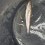 Vitling, 110g, Peter Nilsson, 2026-03-14, Landskrona , fiskemetod: Bottenmete
