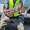Abborre, 670g, Niklas Hammarsson, 2026-05-23, Nynashamn, fiskemetod: Spinnfiske
